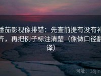 番茄影视像排错：先查前提有没有补齐，再把例子标注清楚（像做口径翻译）