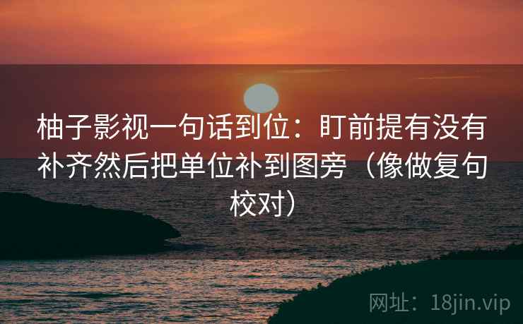 柚子影视一句话到位：盯前提有没有补齐然后把单位补到图旁（像做复句校对）